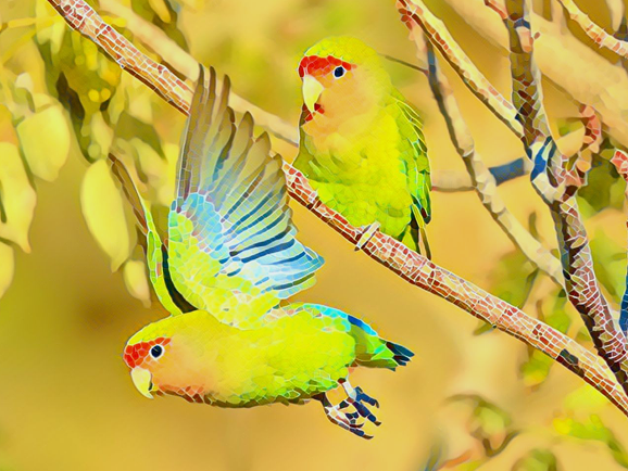 Petit à petit, l'oiseau fait son nid